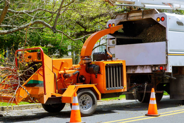 Best Emergency Tree Removal  in Aberdeen, SD